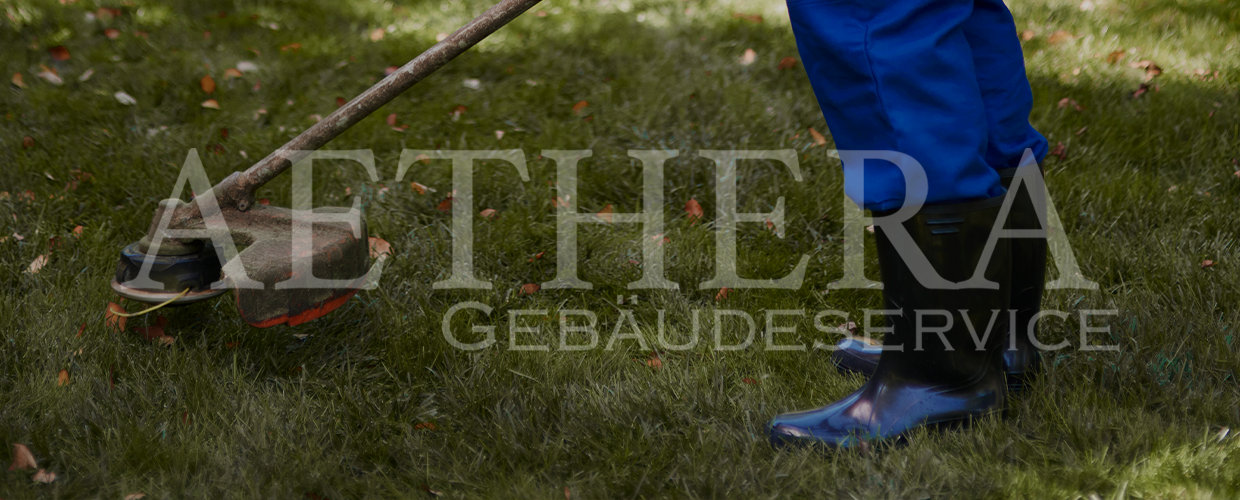 Service details banner